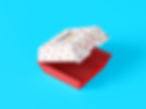 Bio-Burger-Box.jpg