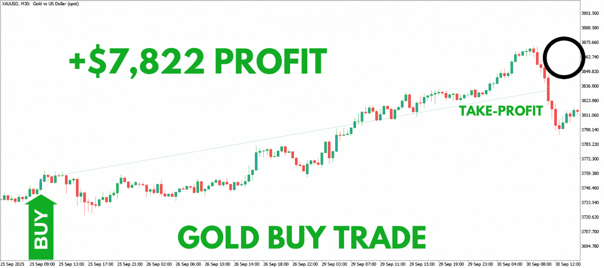 trade-bot.gif