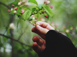 Woorden voor een manier van raken waar geen woorden voor zijn ...