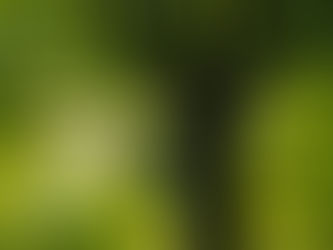 Een stukje 'camino' in eigen land