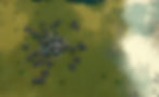 ree