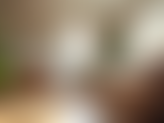 Understanding Assisted Living Options for Seniors