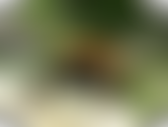 Why are hairy legs important to Agriculture?