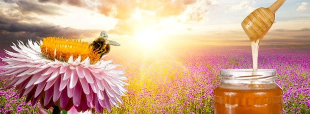 How many flowers do bees visit to produce a pound of honey?