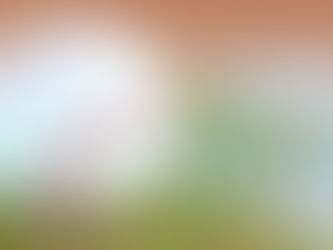 What crop plays a key role in Baseball?