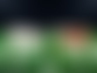 What is the NFL's connection to Cattle?