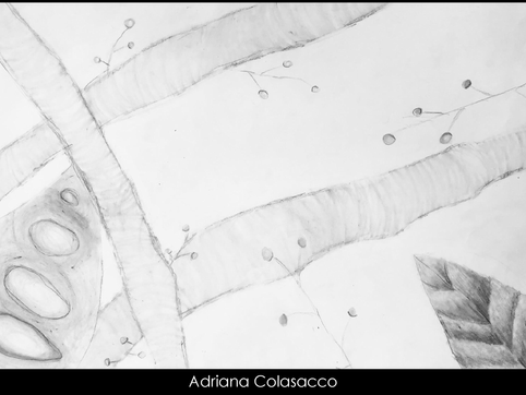 Katie Constantine- Art Show_Page_318.png