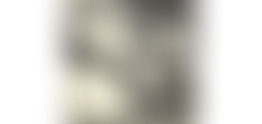 Arquitectura sin Arquitectos