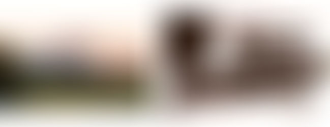 El gesto individual de la arquitectura (El gesto arquitectonico)