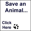 OD_SaveanAnimal_125x125.gif