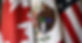 LSKONHA5INC6VLXXQ3HTRRPDQ4_edited.jpg