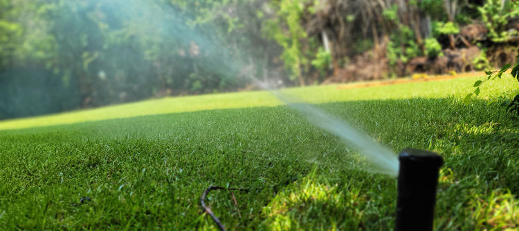 Here is a finished sod project we did in Calgary. The landscape project included freshly screened soil, full irrigation setup and newly laid sod
