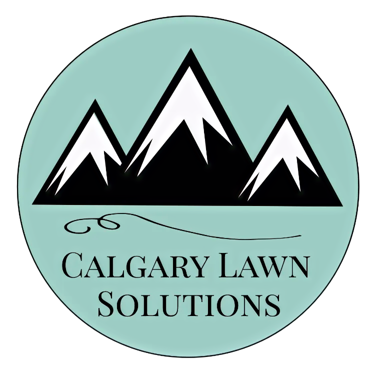 Professionals Landscaping Services Calgary Landscapers