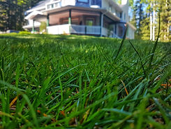 Calgary Sod Installation