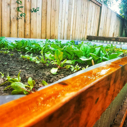 Calgary lawn solutions garden box design and build