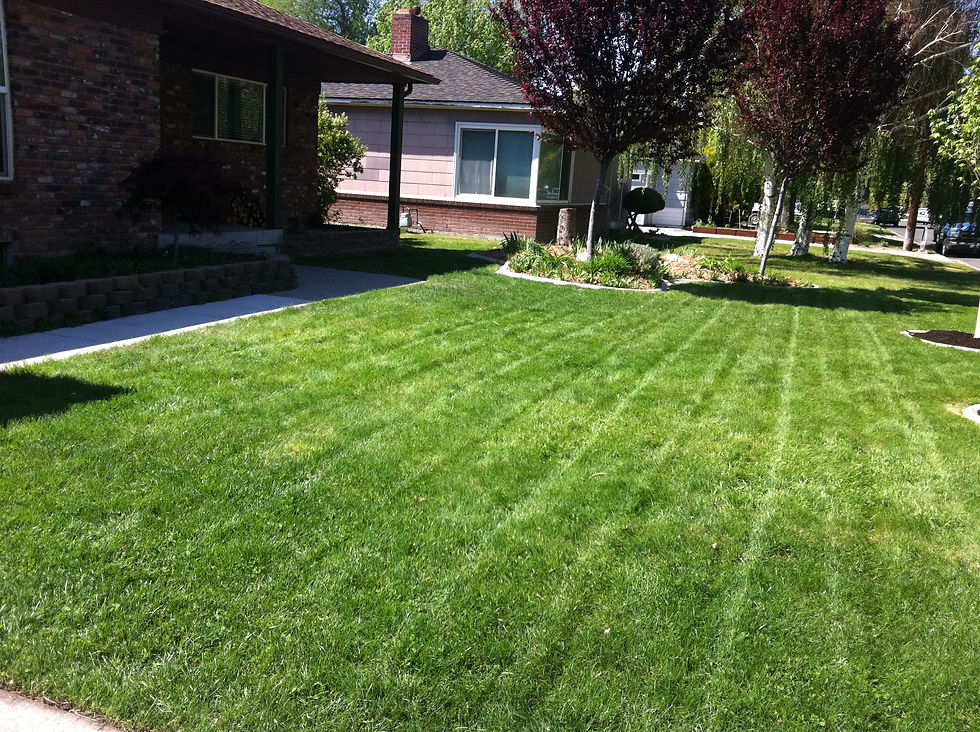 finished product