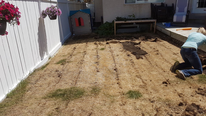 Too much fertilizer can be incredibly damaging to your lawn. We came through and cut out all the dead grass with our sod cutter and replaced it with freshly grown and cut Manderlay sod