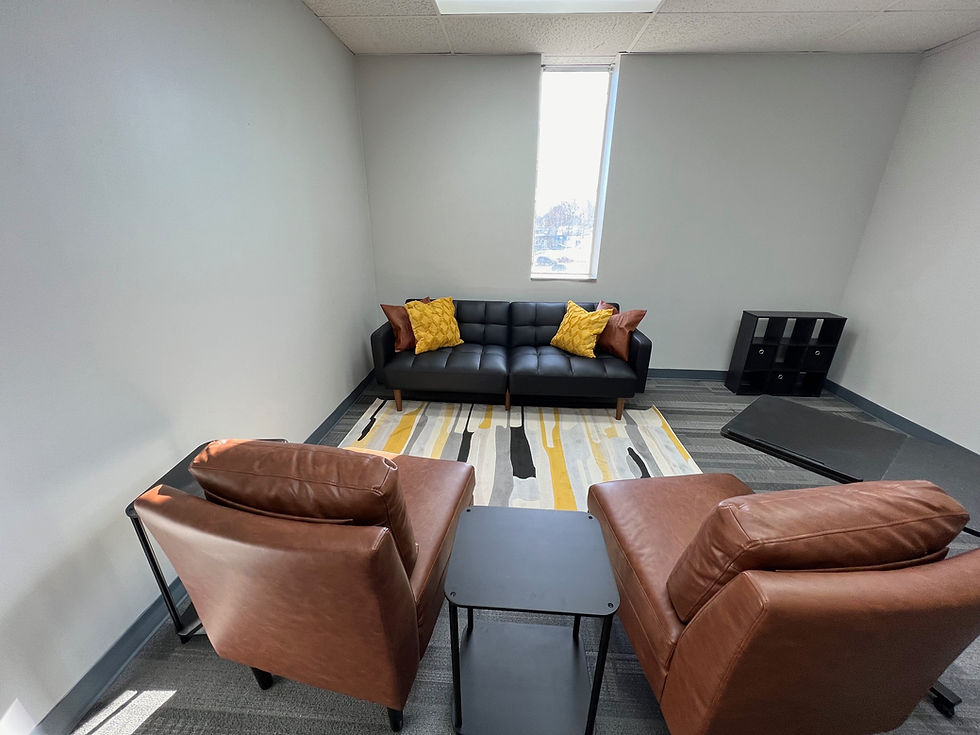 Therapy Office 2