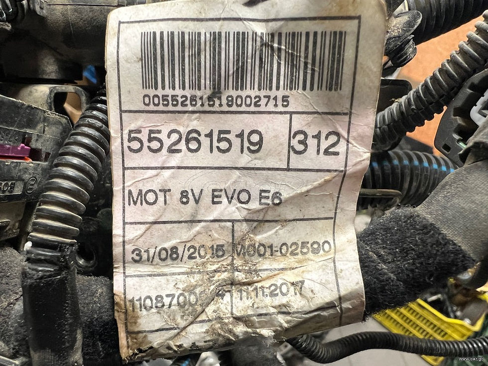 Μικρογραφία: Πλεξούδα καλωδίωση κινητήρα Fiat Panda 169A4000 12- 55261519