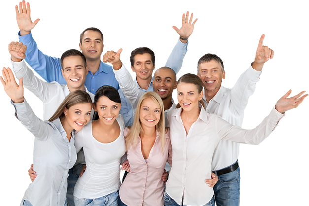 Customs consulting
