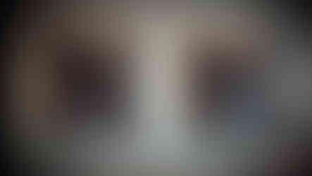 boob pasties