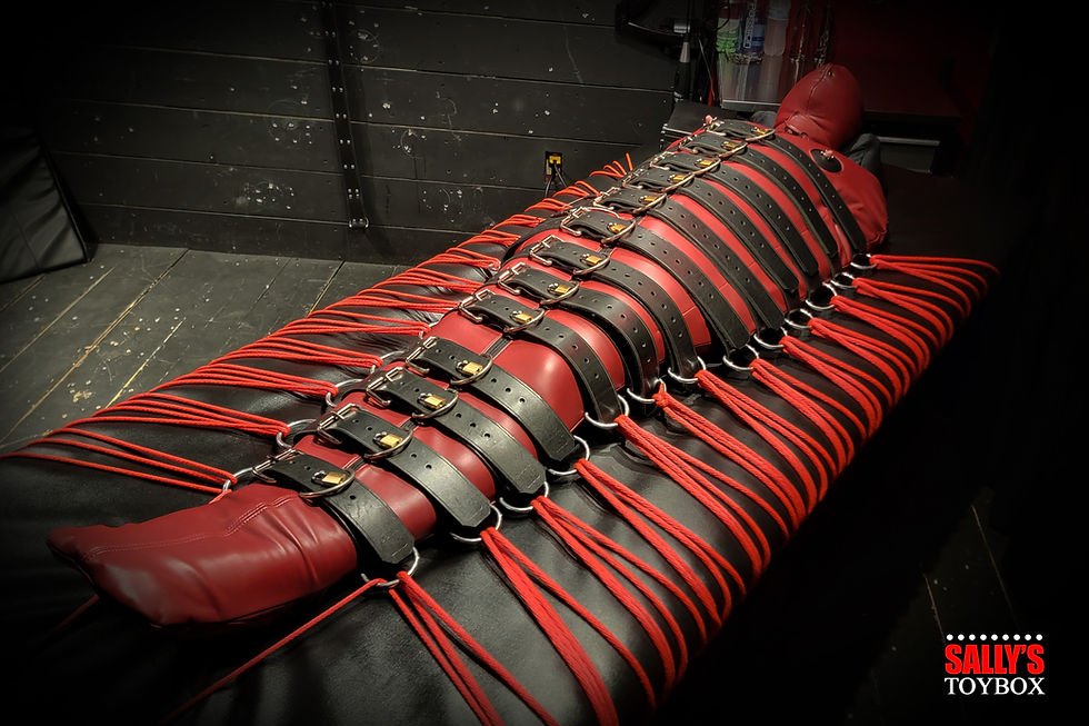 BackBone Body Harness. The ultimate full body bondage harness