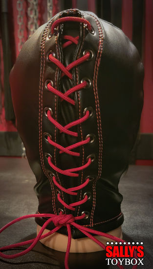 gwendolin bondage hood