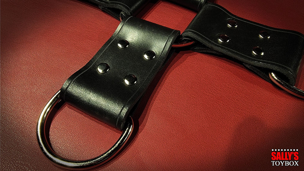 bdsm hogtie