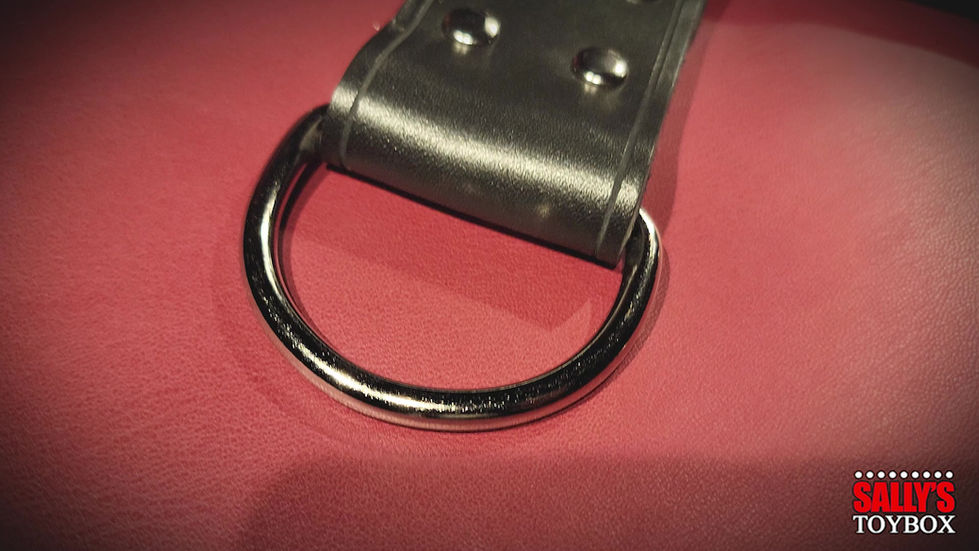 leather hog tie