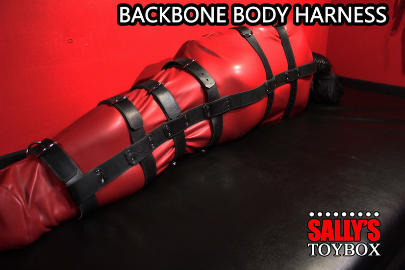 full body harness
