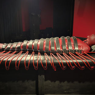 The Full Body Bondage Harness