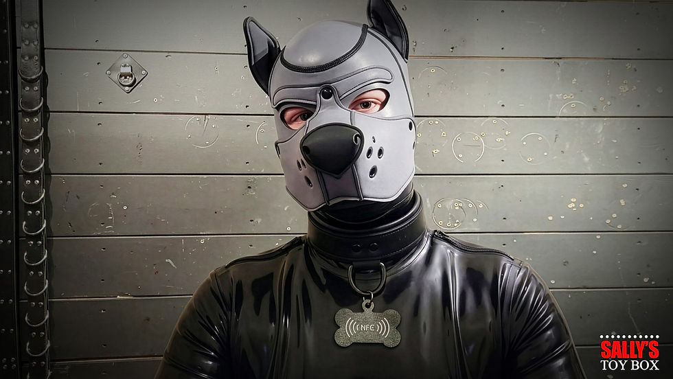 A bondage puppy with hood, rubber catsuit, and NFC chip enabled dating tag that links to online dating profile.