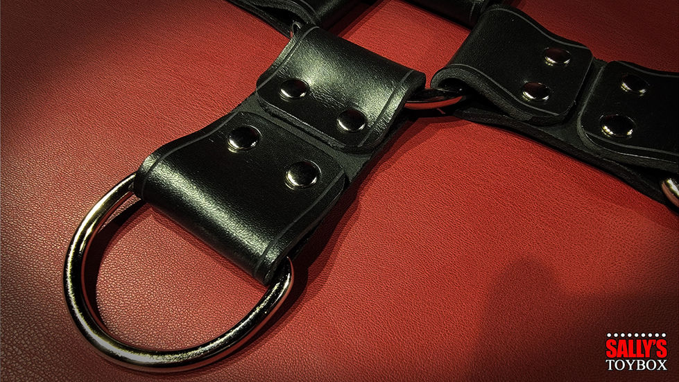 bdsm hogtie