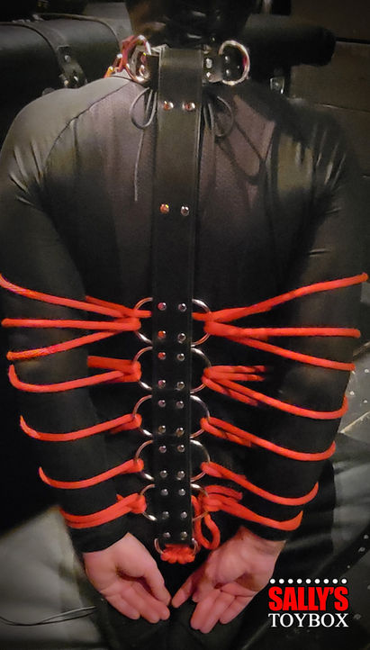 armbinder