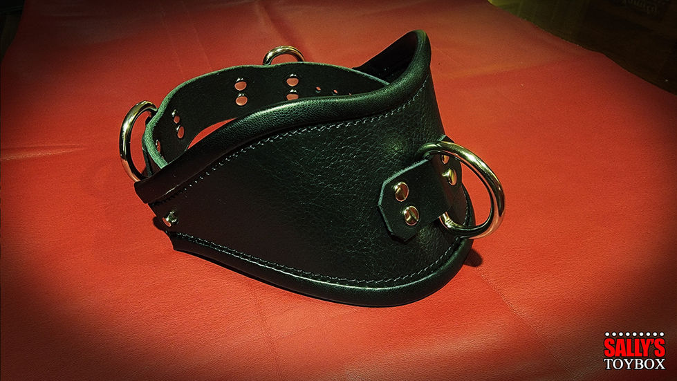 bdsm collar
