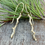 Thumbnail: Nature-Inspired Branch Earrings