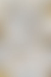 Kingdom of Flesh and Fire