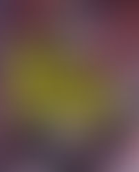 Carl's Doomsday Scenario - Dungeon Crawler Carl 2