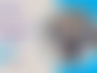 Emergency Palatine HVAC Repair Considerations