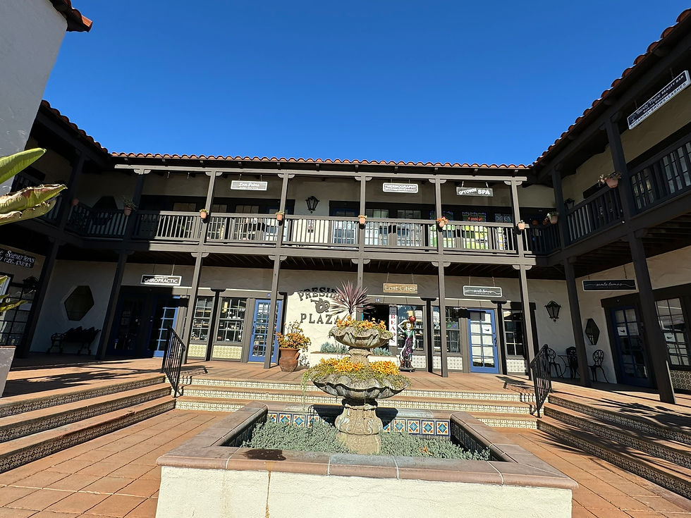 Presidio Plaza Old Town McKee Commercial Real Estate
