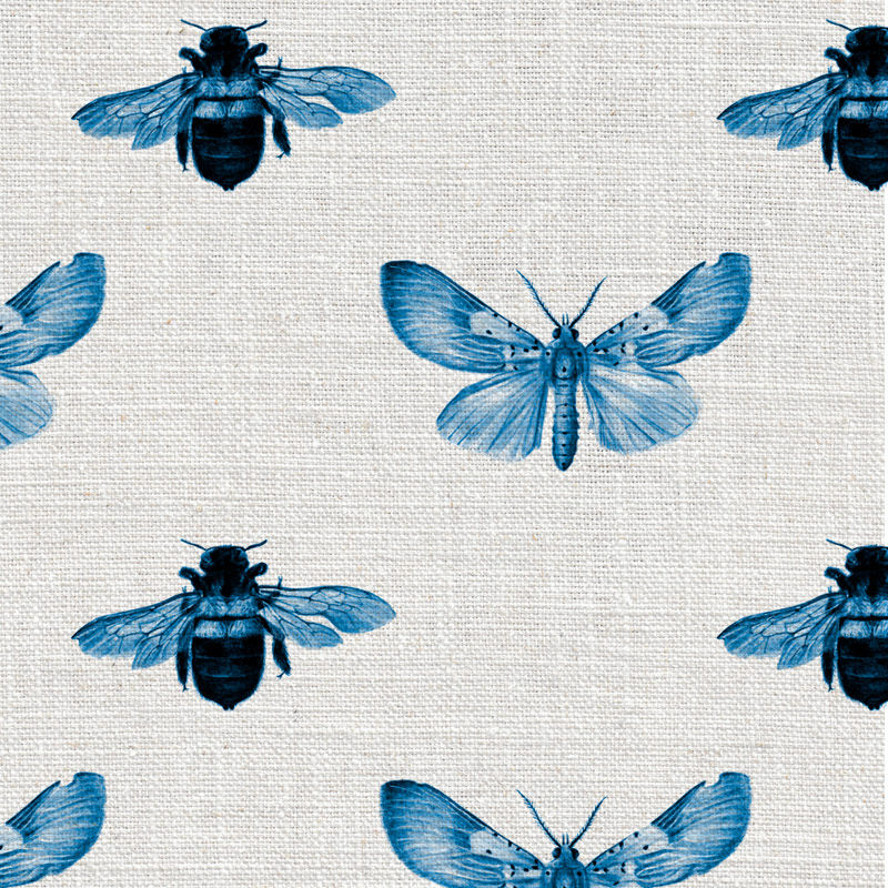 Thumbnail: Willie Shclechter Bee and moth