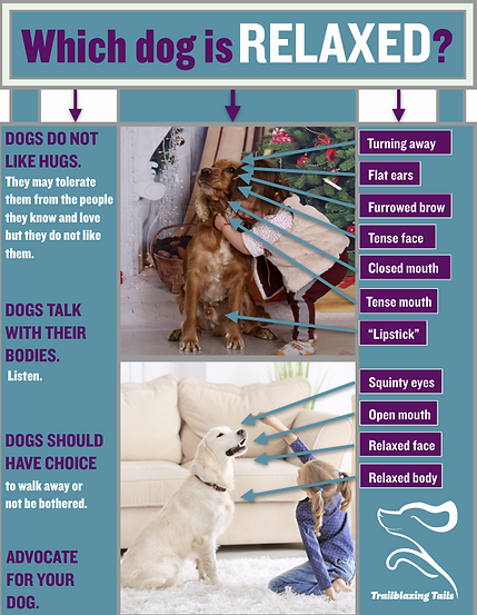 Screenshot 2025-05-20 141936.png