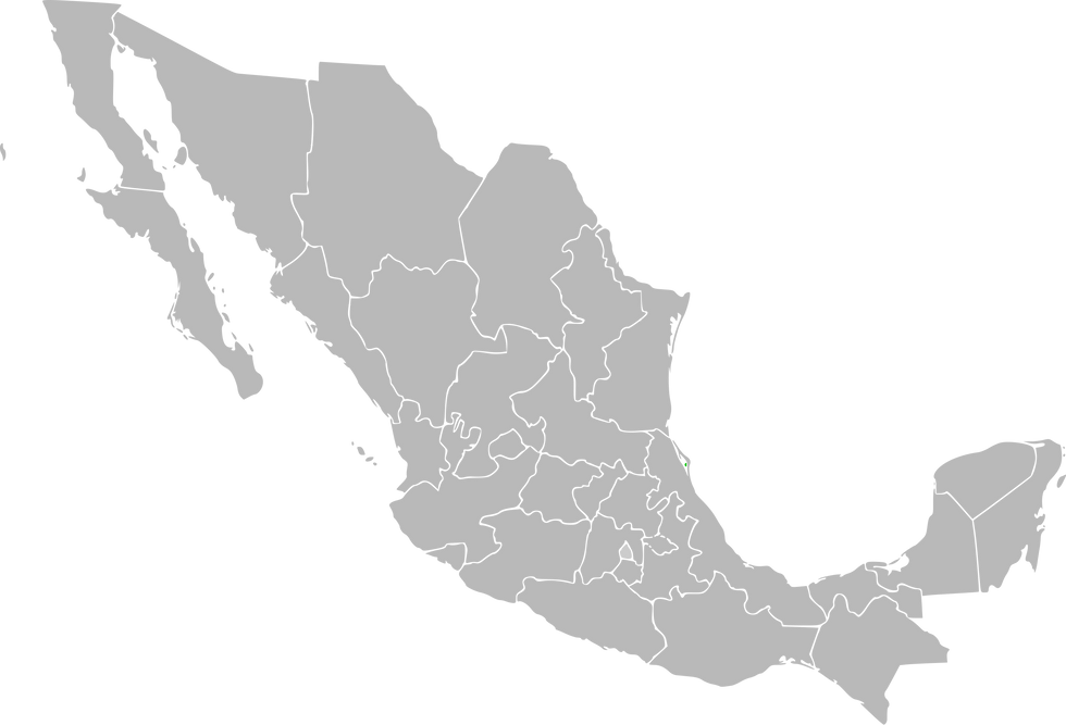 Mexico_Map.svg.png