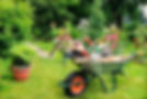 jardin_edited_edited.jpg