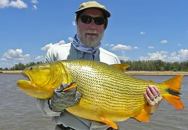 pesca.webp