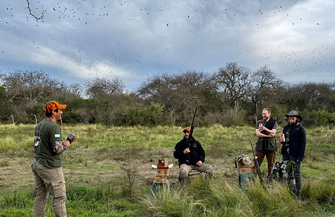 7.jpeg