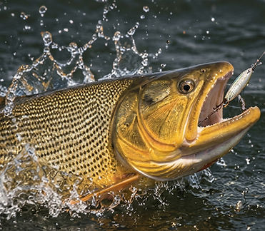 pesca 3.jpg