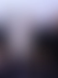 A Night to Remember: Mr. Wine Country 2025 Was a Resounding Success in California