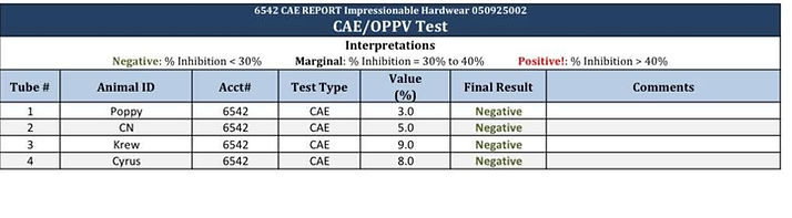 CAE 2025 test.jpeg
