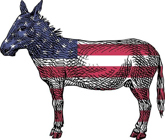 america-2025465__480.webp